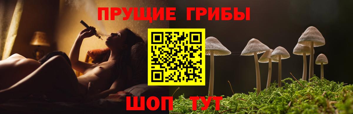 Псилоцибиновые грибы мицелий Коркино